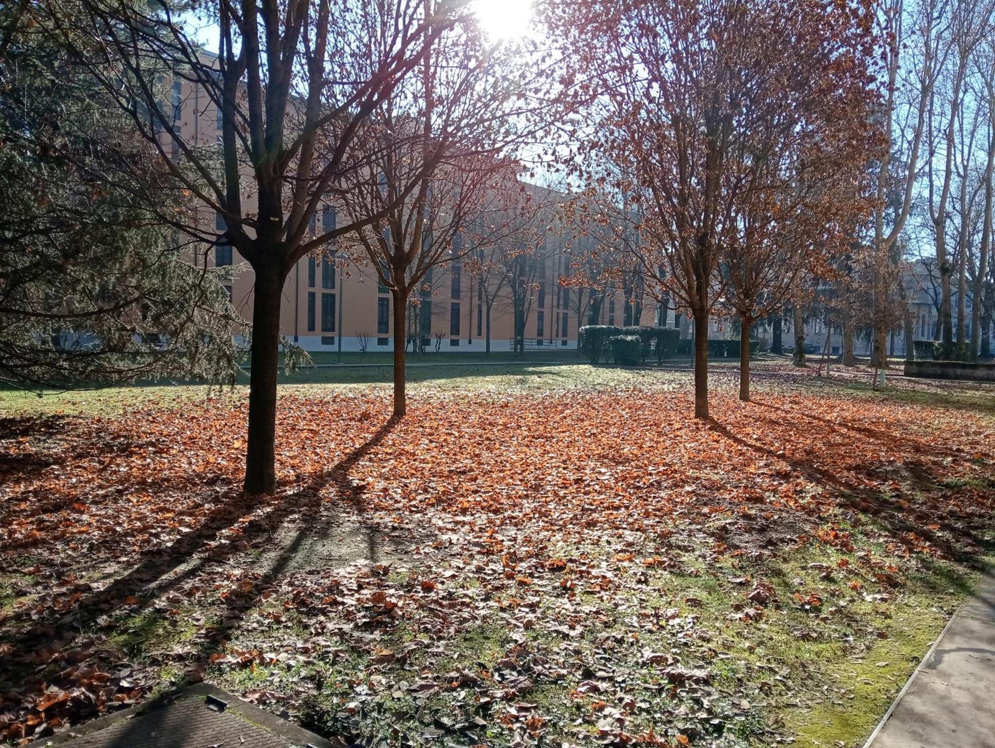 Sandonhouse Milano San Donato Milanese Exteriör bild
